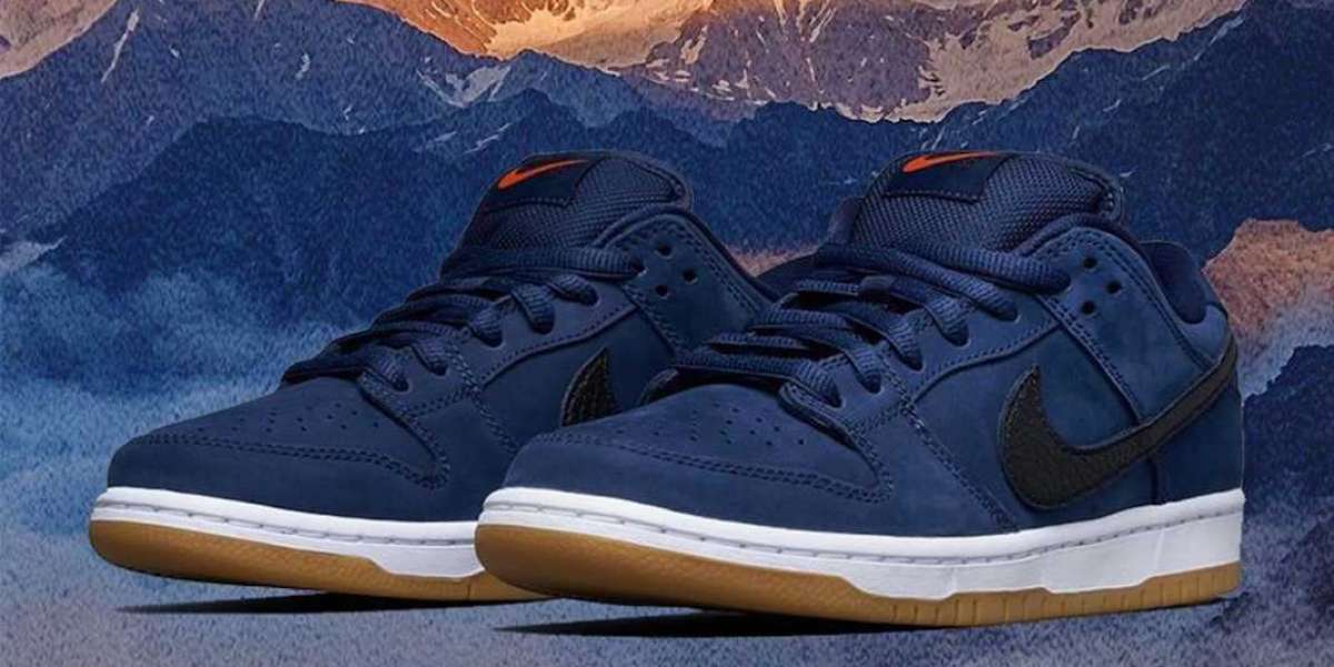 Nike SB Dunk Low Pro ISO CW7463-401 Skateboard Shoes are available now